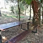 Apartament Zara