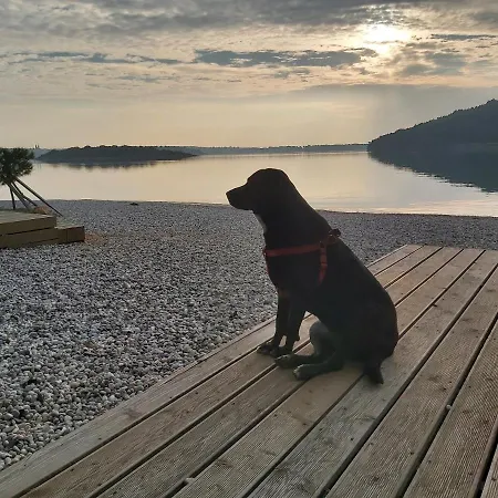 דירה Zara מדולין