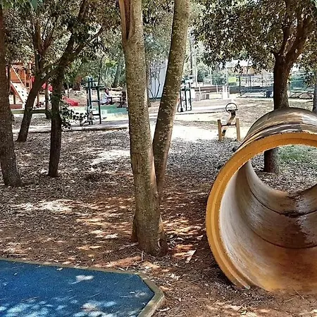 דירה Zara מדולין