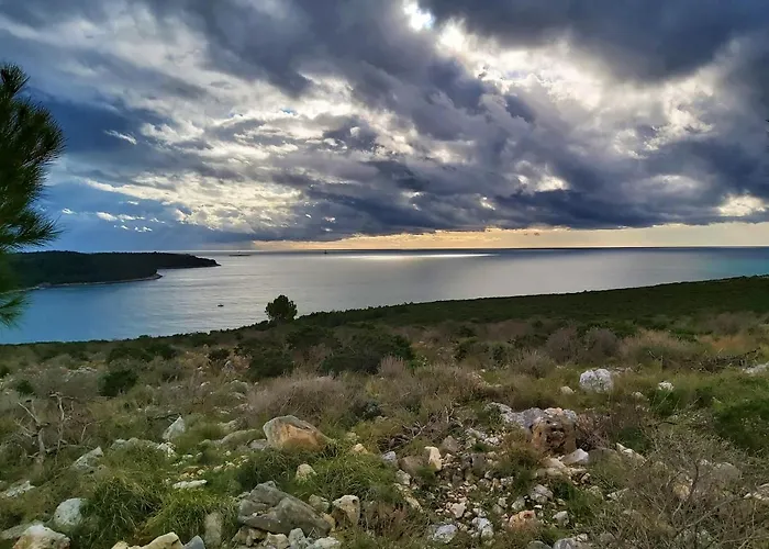 아파트 Zara 메덜린