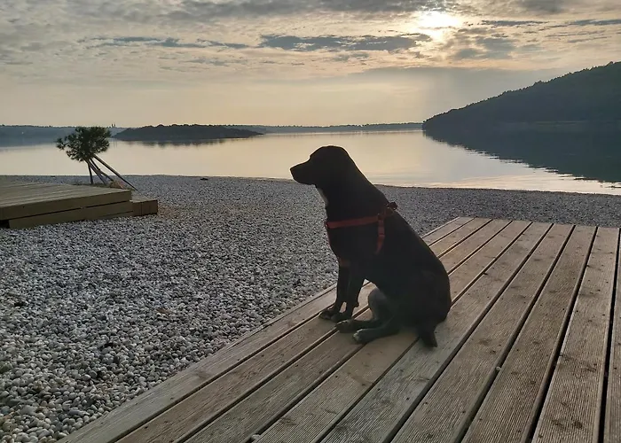 Apartman Zara Medulin